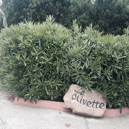 Le Olivette
