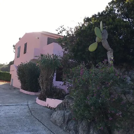 Le Olivette